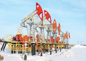 TPAO Sibirya'ya Macarlarla Girdi