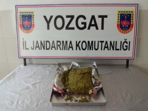 Yozgat’ta Esrar Operasyonu