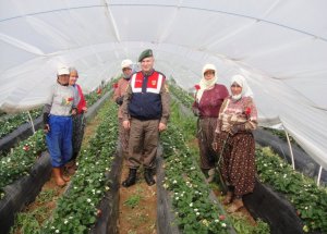 Mehmetçik, Şehit Annesini Unutmadı