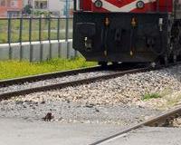 Manisa'da tren kazası: 1 ölü