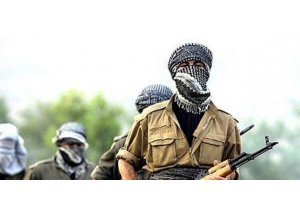 3 PKK'lı teslim oldu
