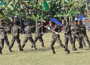 Müslümanların Bağımsızlık Mücadelesi