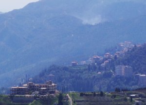 Esed'in Dört Kuzeni Daha Öldürüldü