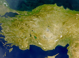 2014 Yerel Seçiminin İlk Kazananları