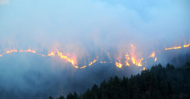 Rize'de orman yangını