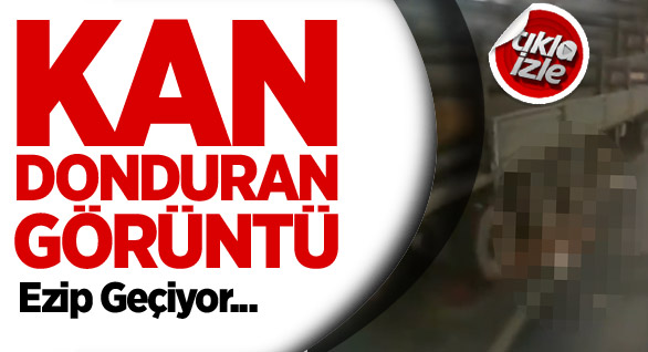 Tüyler Ürperten Görüntü