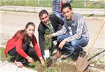Cizre’de 2 bin fidan toprakla buluştu