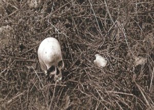 Şamahı Katliamı Unutulmadı