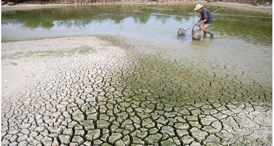 İklim Değişikliği Ekonomiyi Tehdit Ediyor