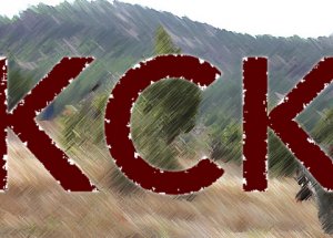 KCK Davasında 95 Sanık Tahliye Edildi