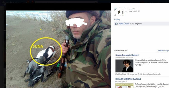 Vurduğu kuşları sosyal medyada paylaşınca...