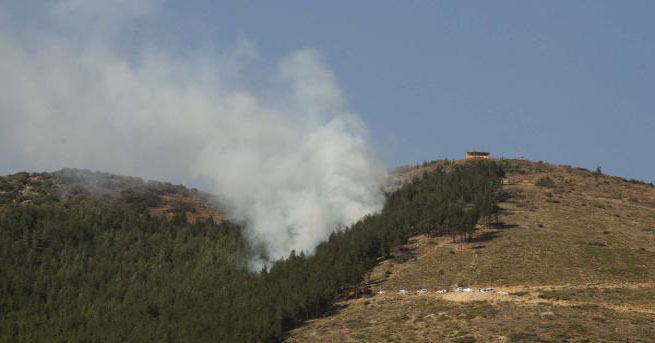 Kahramanmaraş'ta orman yangını!