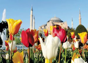 İstanbul Lale Açtı