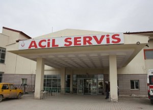 Doğubayazıt'ta Kuduz Şüphesi