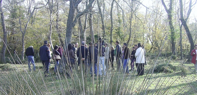 Edirne'de, 4 ceset bulundu