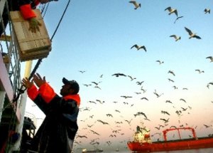 Denizlerde Av Yasağının Tarihi Belli Oldu