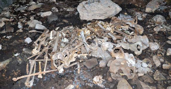 Kemikler zaman aşımına uğradı