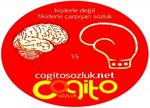 Cogito Sözlük 3 Yaşında!