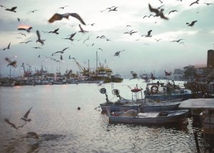 En Mutlu İl Sinop'un Sırrı