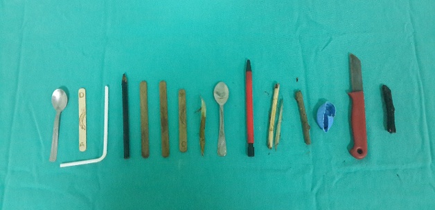 Bunların Nereden Çıktığına İnanamayacaksınız!