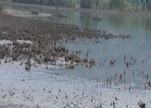 Türkiye'nin En Büyük Su Kaynağı Kuraklığa Yenildi