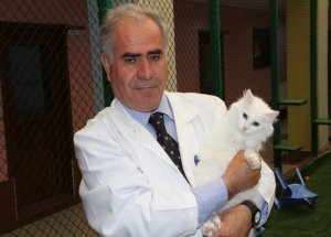 Van Kedisinin Turizmdeki Yeri