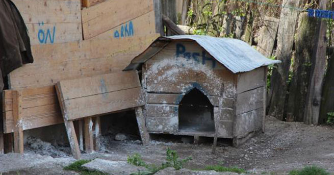 Bolu'nun 2 Köyünde Kuduz Karantinası