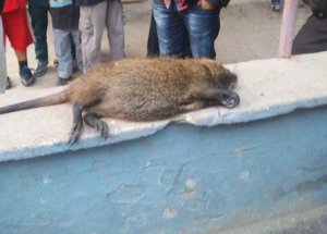 Edirne'de Balıkçılar Buldu!