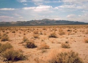 Çölün Ortasında 9 Ceset Bulundu