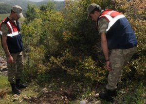 Osmaniye'de Akıllara Durgunluk Veren Olay