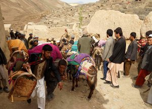 Dünya Afganistan'daki Felakete Sağır Kaldı