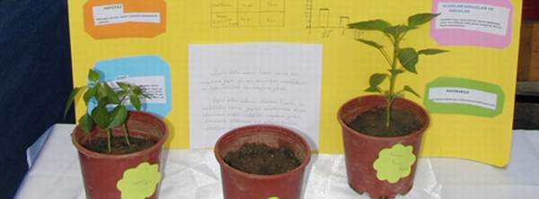 İşte Şaşırtan Sonuç