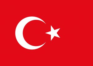 Edirne’deki Yürüyüşte Bayrak Krizi