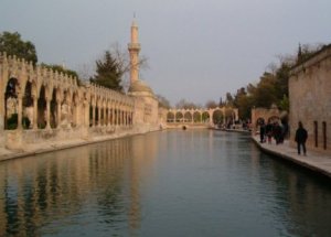 Balıklıgöl’deki Balıklar Ölüyor