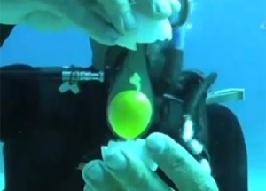 Suyun Metrelerce Altında Yumurta Kırarsanız Ne Olur?