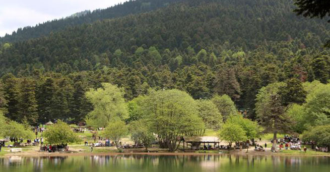 Gölcük Parkı Doldu Taştı