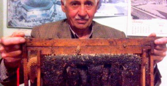 Arılar Peteğe Allah'ın Adını İşledi!