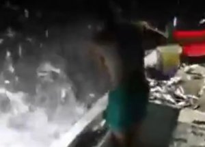 Uyanıklı Mı Avanaklık Mı?