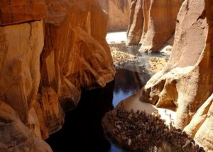 Çöldeki Vahanın Sırrı Çözüldü
