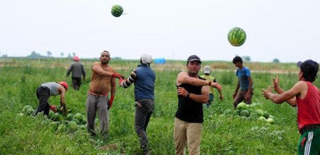 Bu Görüntüler Festivalden Değil