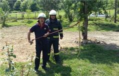 Buzdolabının Arkasından Yılan Çıktı