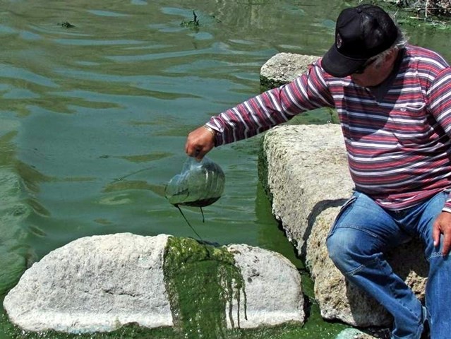 Bafa Gölünde Tehlike Büyüyor