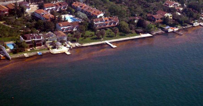 İzmit Körfezi Ölüyor!