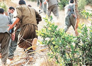 KCK'dan Başkaldırı Çağrısı!