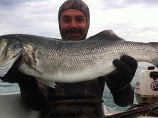 Ordu'da 14 Kiloluk Levrek Avlandı