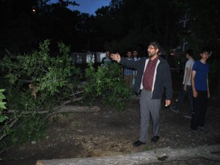 Amasya’da Ağaç Gerginliği