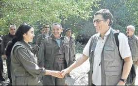 Bu mu barışcıl karayılan?