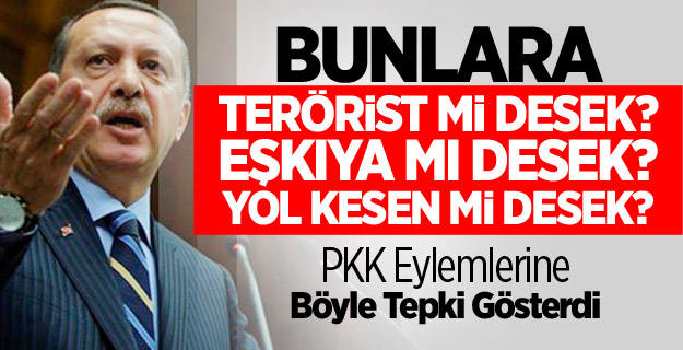 PKK Eylemlerine Böyle Tepki Gösterdi