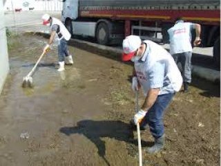 SÜTAŞ Bir Gecede Çiçek Açtı