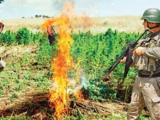 PKK Eylemlerinin Arkasındaki Esrar